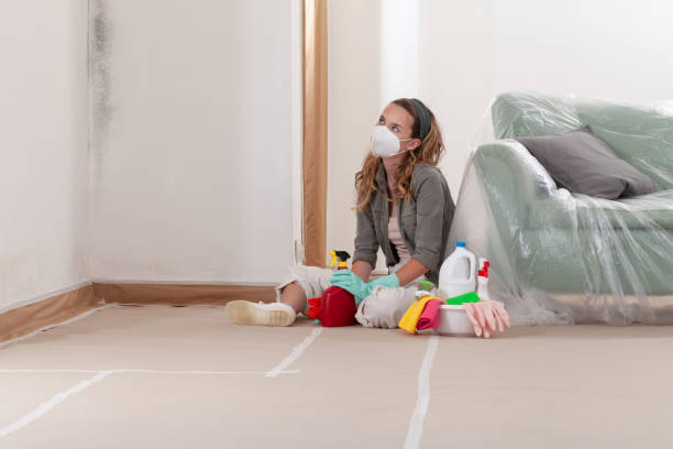 Reliable Attic Mold Removal contractor in Glenwood, IL by WQB Mold Removal